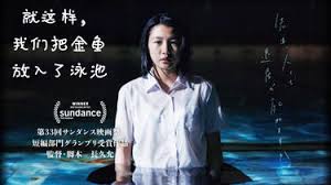 就这样，我们把金鱼放入了泳池